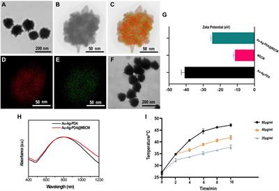 Unveiling the mechanism of photothermal therapy in acne man-agement: targeting sebaceous gland ferroptosis via umbilical cord mesenchymal stem cell membrane-encapsulated Au-Ag-PDA